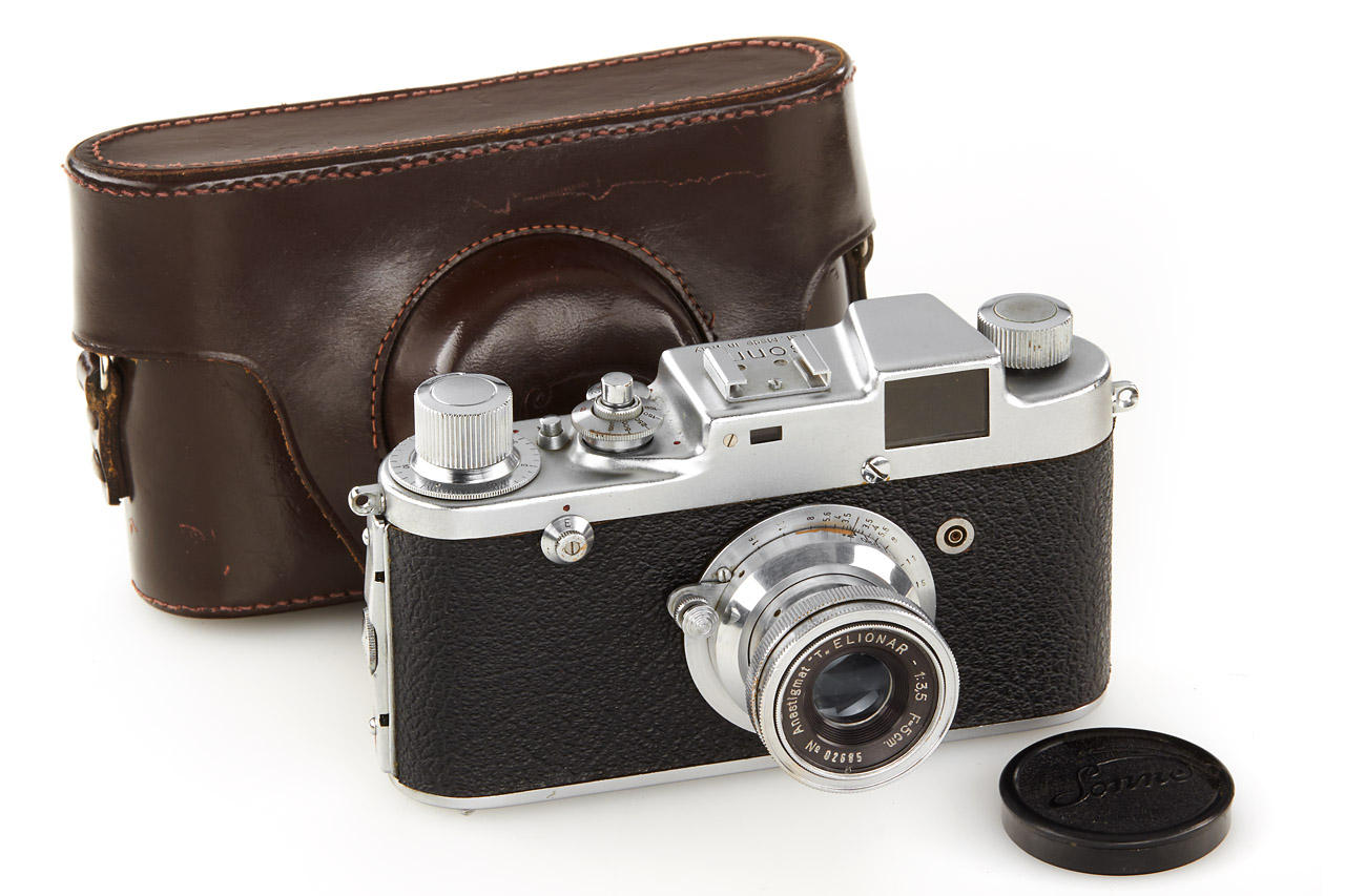 Gatto Italy Sonne C4