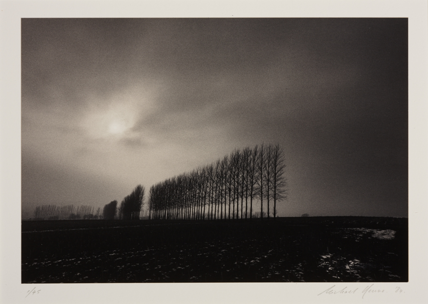 MICHAEL KENNA (* 1953) Winter Trees, Oxfordshire, England 1984
