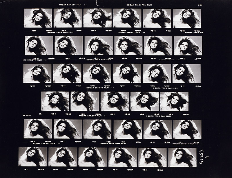 David Bailey (* 1938), Raquel Welch