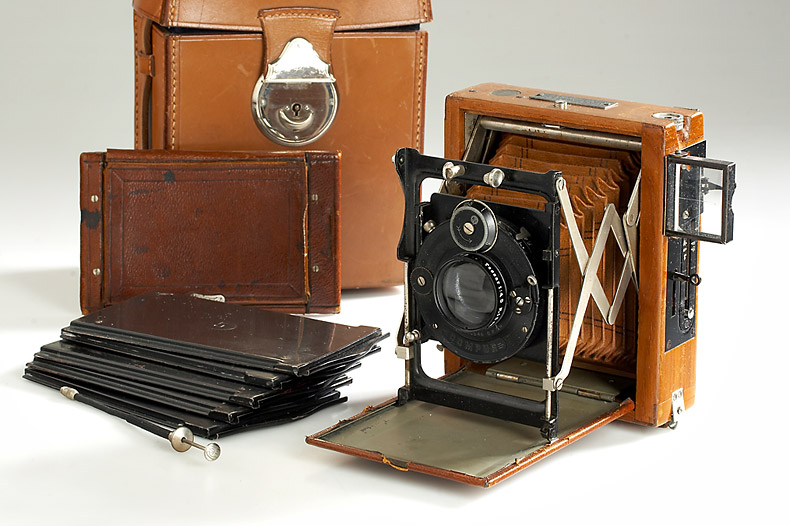 Contessa Nettel  Sonnet Tropical