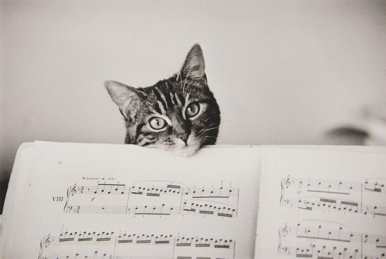 ÉDOUARD BOUBAT (1923–1999) ‘Partition avec Noelle’, Paris 1981