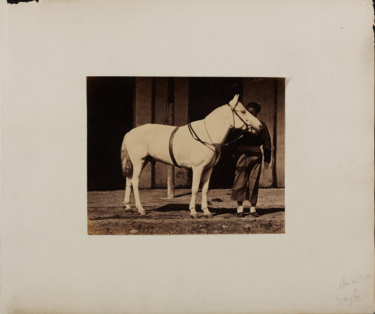 ANONYMOUS CHINESE PHOTOGRAPHER Frau mit Pferd / Woman with horse, China 1860s