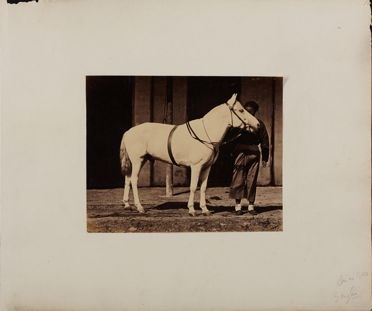 ANONYMOUS CHINESE PHOTOGRAPHER Frau mit Pferd / Woman with horse, China 1860s ANONYMOUS CHINESE PHOTOGRAPHER Frau mit Pferd / Woman with horse, China 1860s