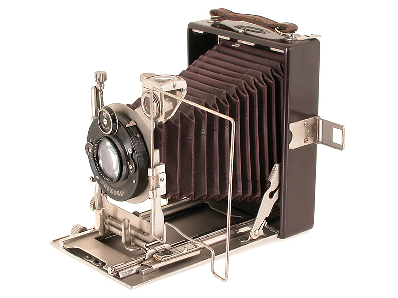 Merkel   Metharis Tropen