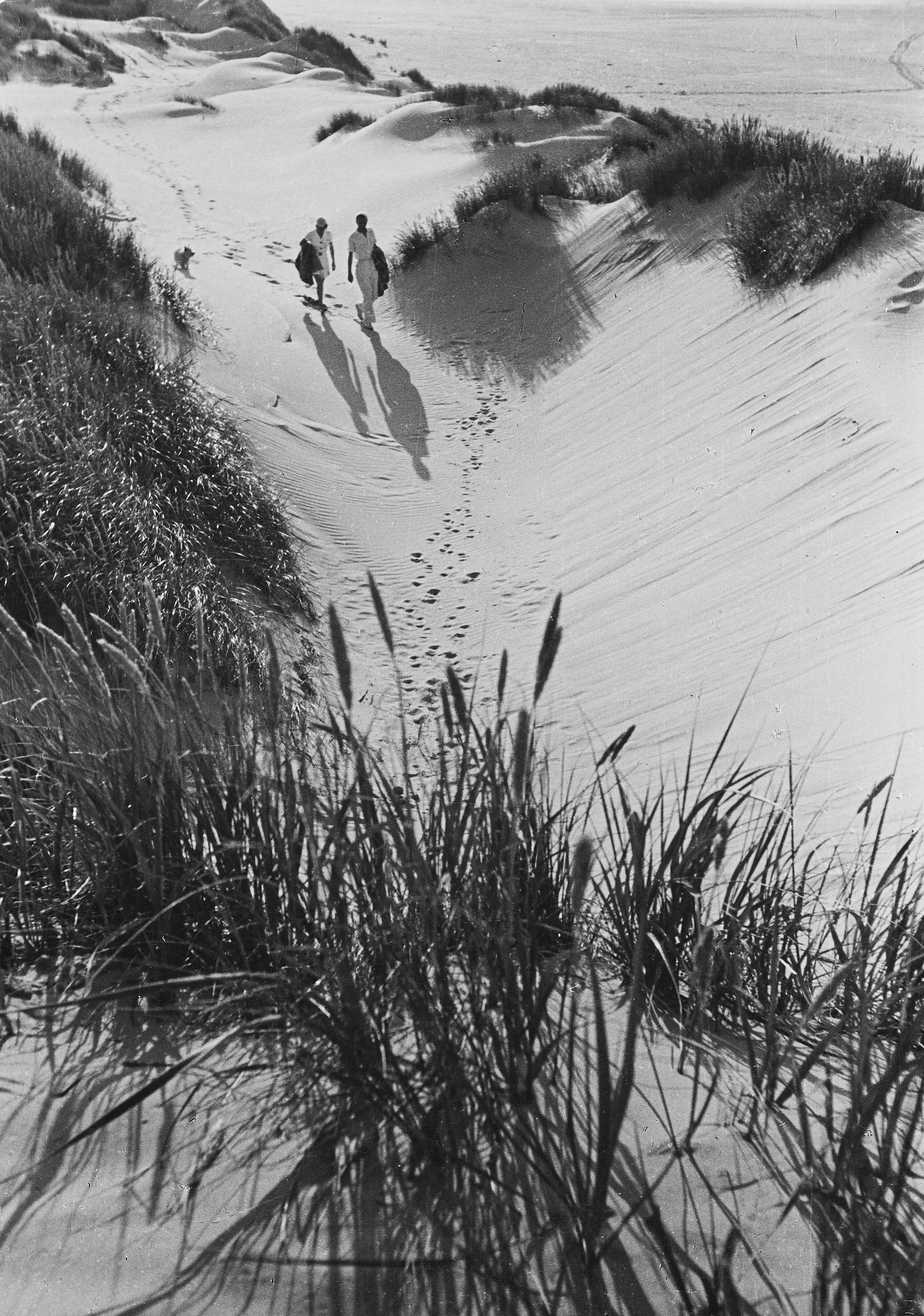 PAUL WOLFF (1887–1951) - Nordsee, c.1935*