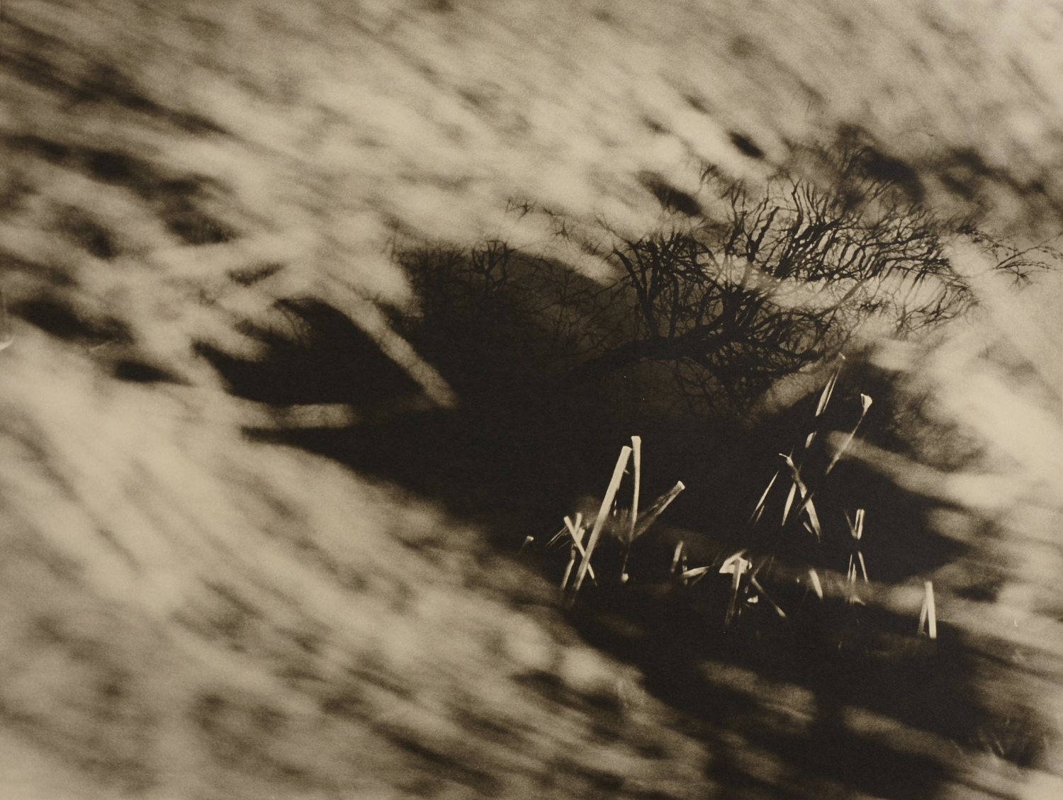 KATKA PRACKOVA (* 1977) ‘Tree reflection with Cave’ (from the series ‘Distant Proximity’), 2006