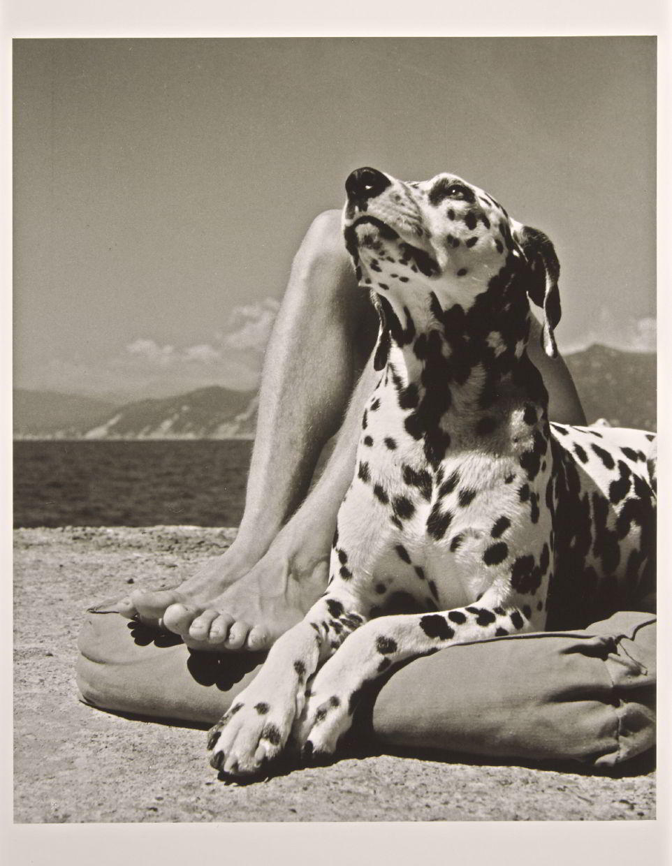 HERBERT LIST (1903–1975) ‘Herr und Hund’ (Master and Dog), Portofino 1936