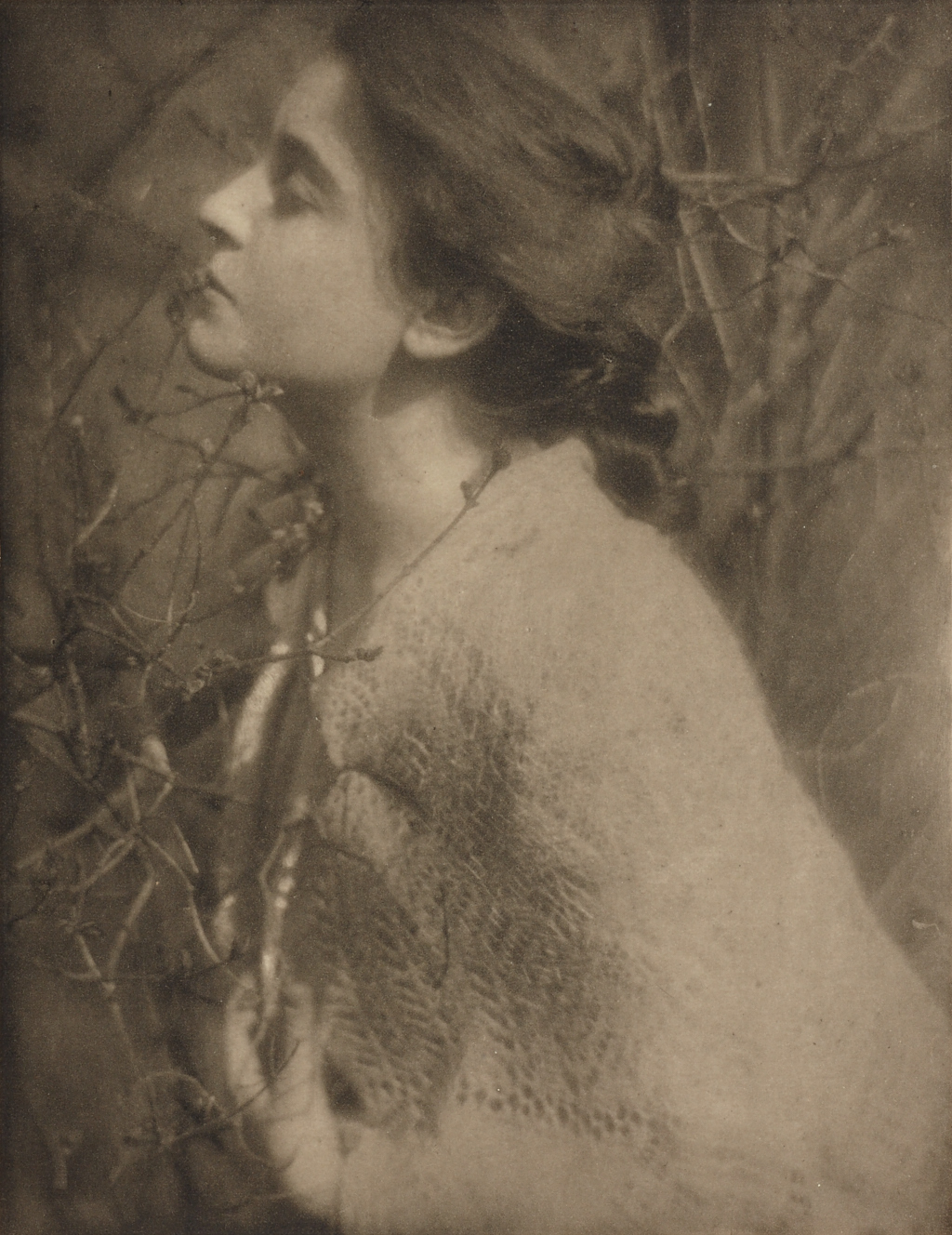 EDWARD STEICHEN (1879–1973) Lilac Budes, 1906