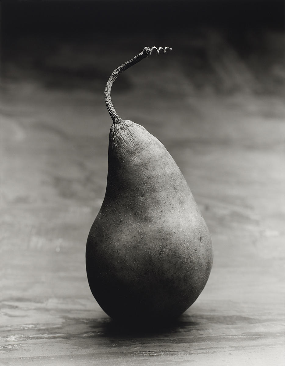 FRANK WHITE (* 1951) ‘Pear with Metal’, 2011