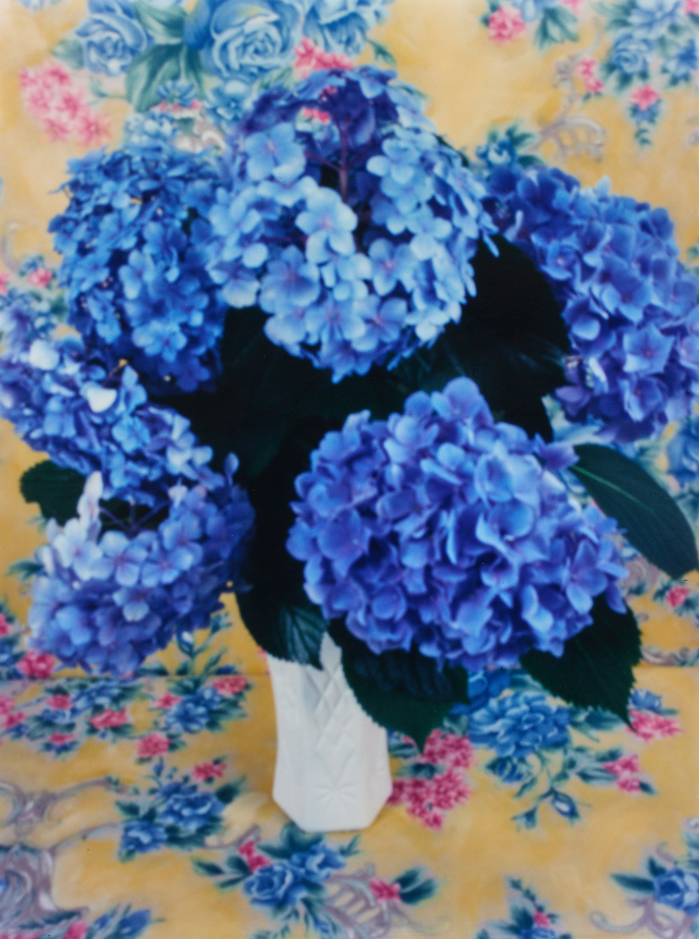 ROE ETHRIDGE (* 1969) - Floral Arrangements, 1997 ROE ETHRIDGE (* 1969) - Floral Arrangements, 1997