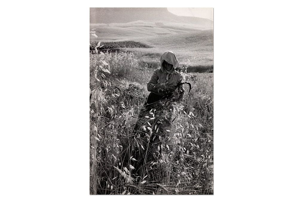 Sergio Larrain (*1931), Italienische Bäuerin / Italien farmer
