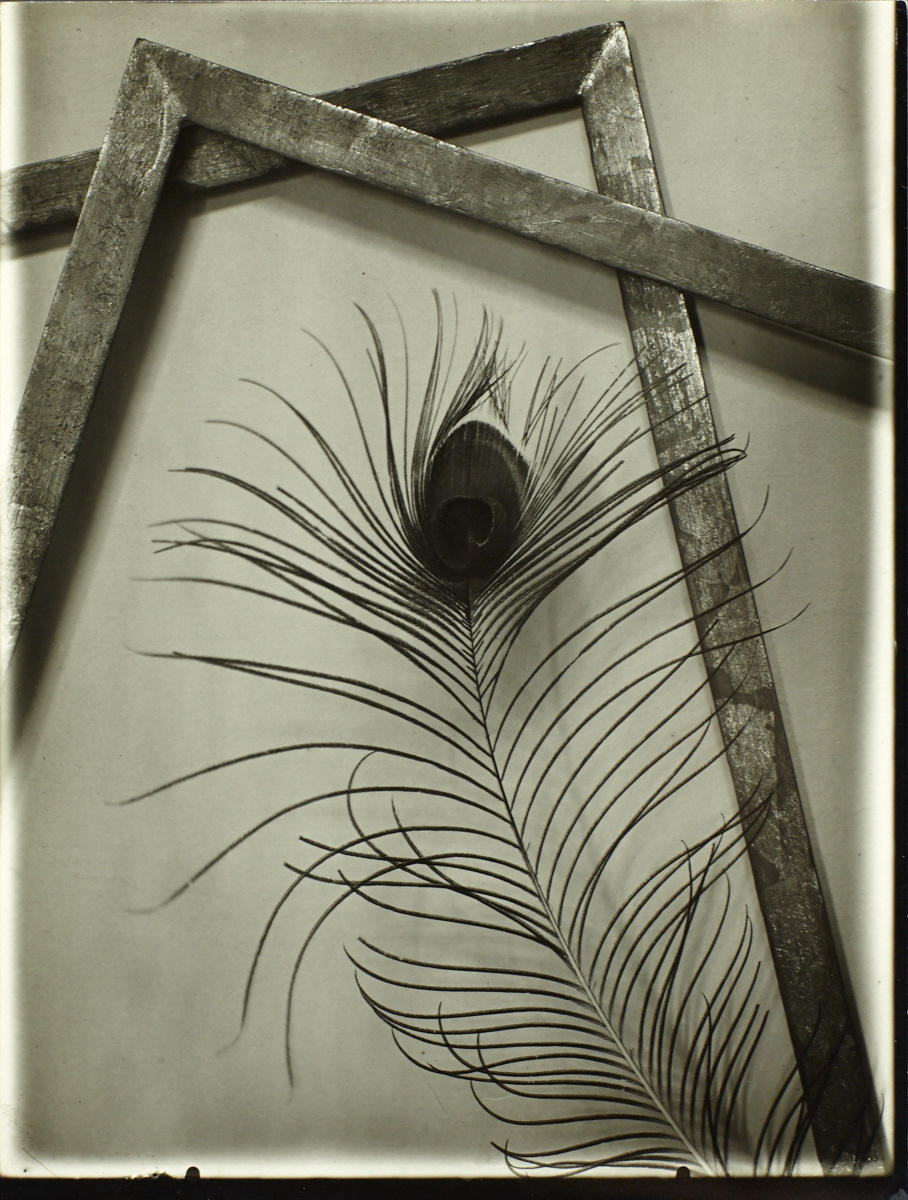 JOSEF SUDEK (1896–1976) Pfauenfeder / Peacock Feather, Prague 1950