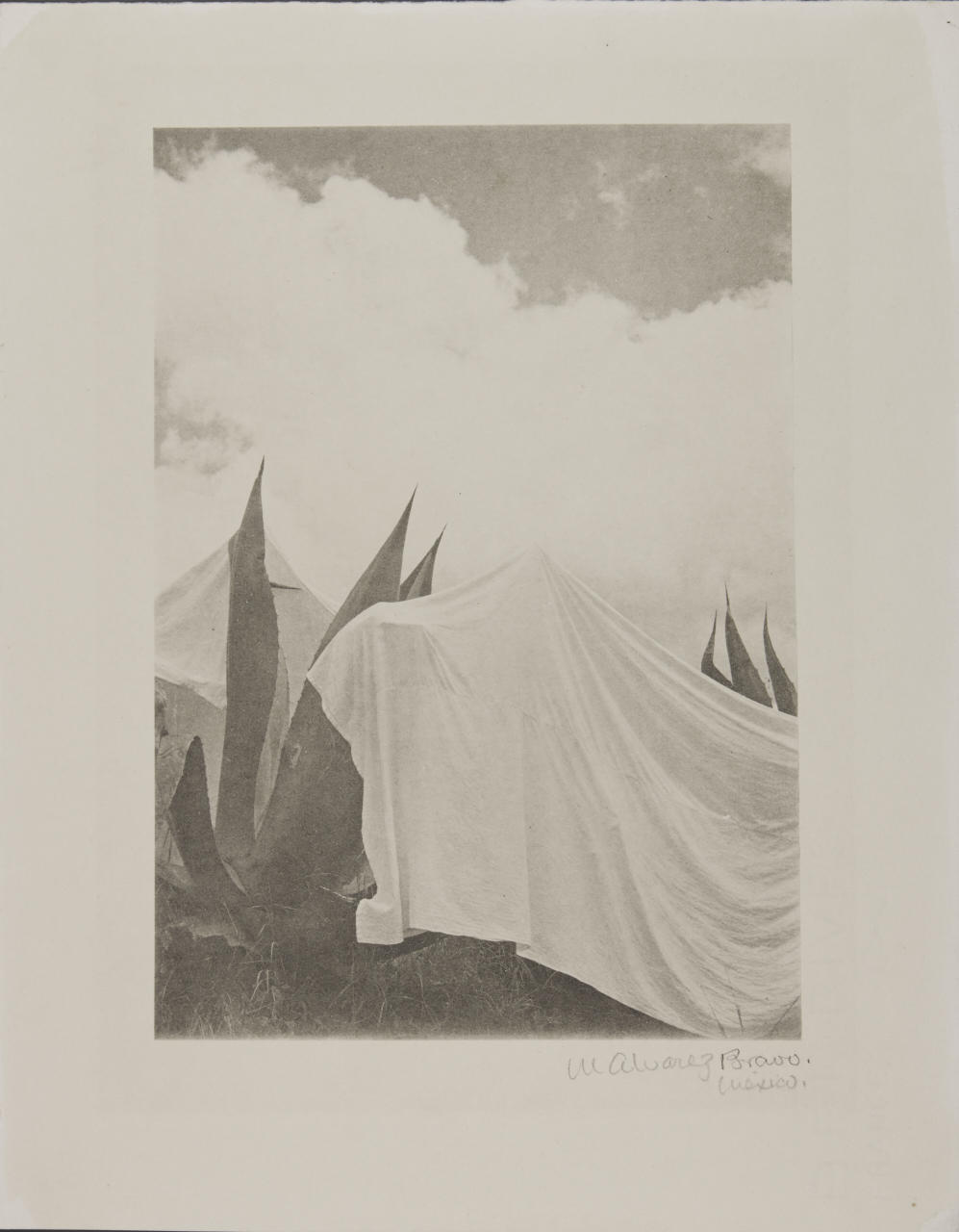 MANUEL ÁLVAREZ BRAVO (1902–2002) ‘Las Lavanderas Sobreetendidas’, Mexico 1932