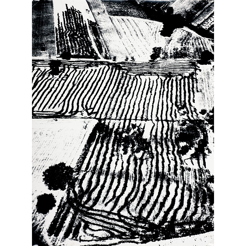 Mario Giacomelli (1925–2000) , ›Presa di coscienza sulla natura‹
