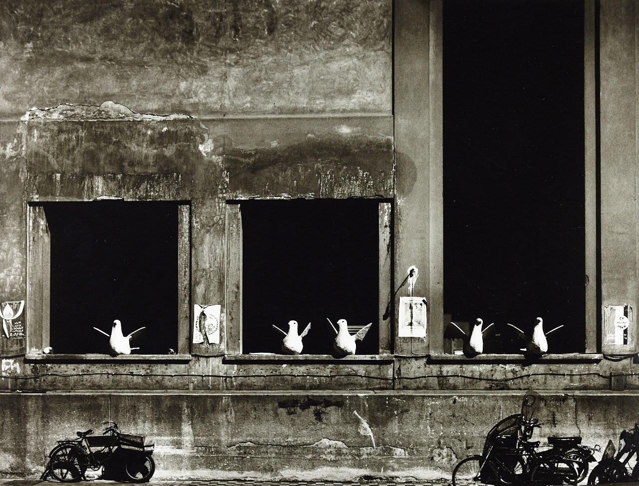 MAX YAVNO (1921–1985) ‘Stone Doves, Cairo’, 1975