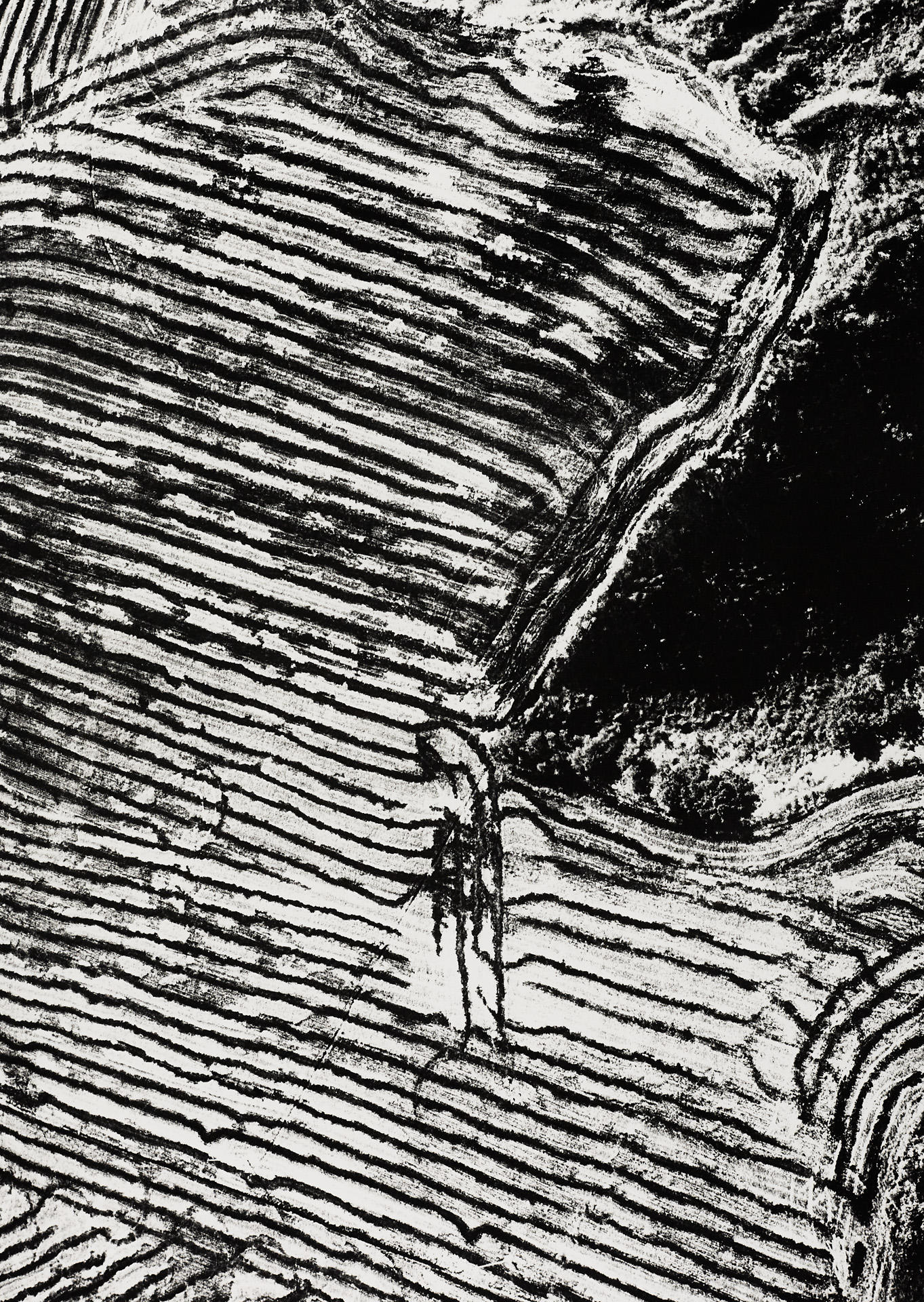 MARIO GIACOMELLI (1925–2000) ‘Presa di coscienza sulla natura (On being aware of nature)’, 1981 MARIO GIACOMELLI (1925–2000) ‘Presa di coscienza sulla natura (On being aware of nature)’, 1981