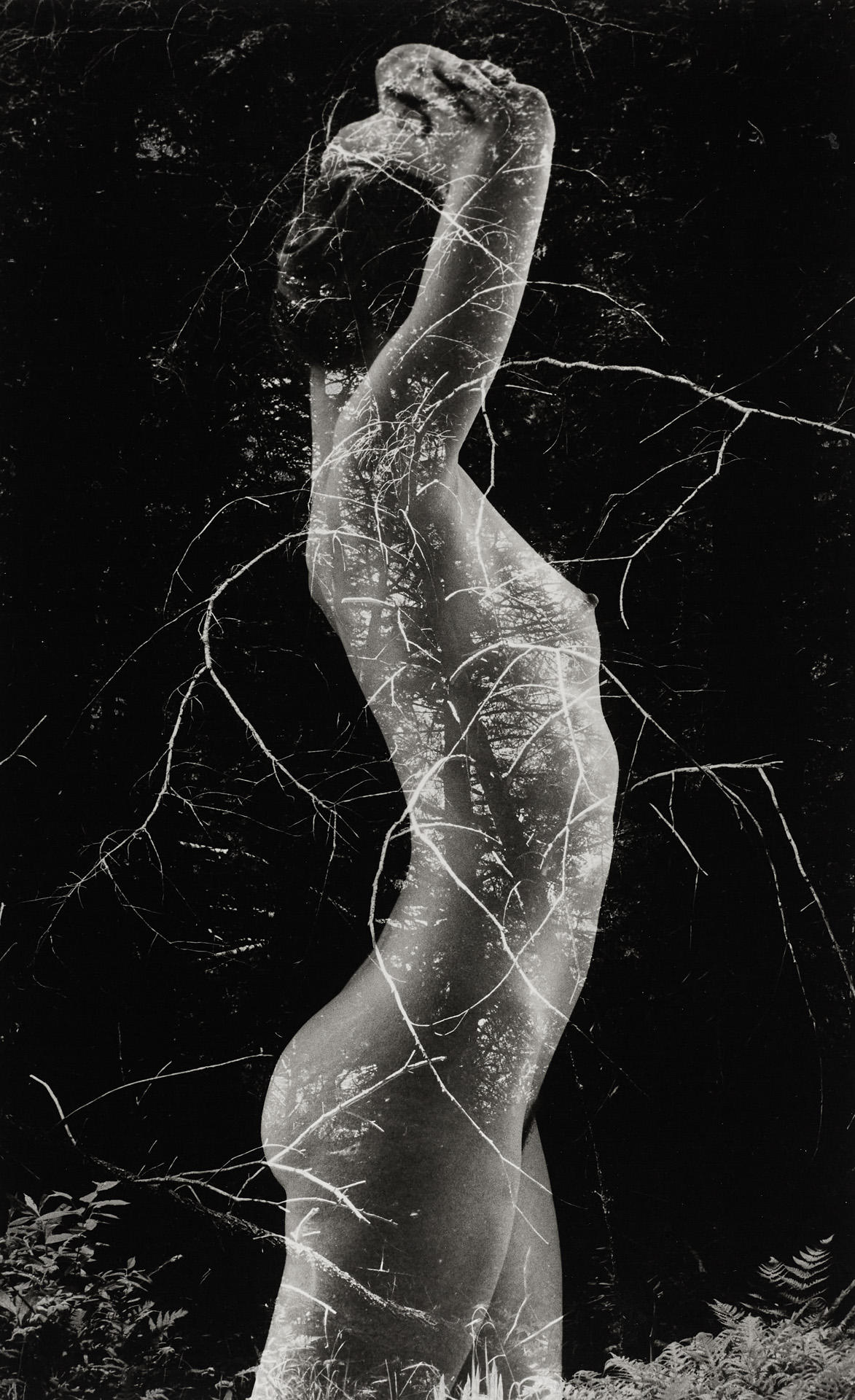 RUTH BERNHARD (1905–2006) ‘Symbiosis’, 1971