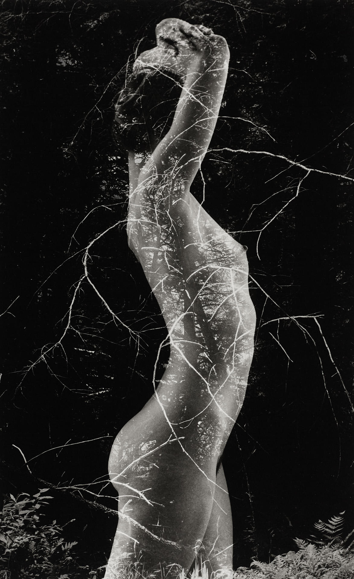 RUTH BERNHARD (1905–2006) ‘Symbiosis’, 1971 RUTH BERNHARD (1905–2006) ‘Symbiosis’, 1971