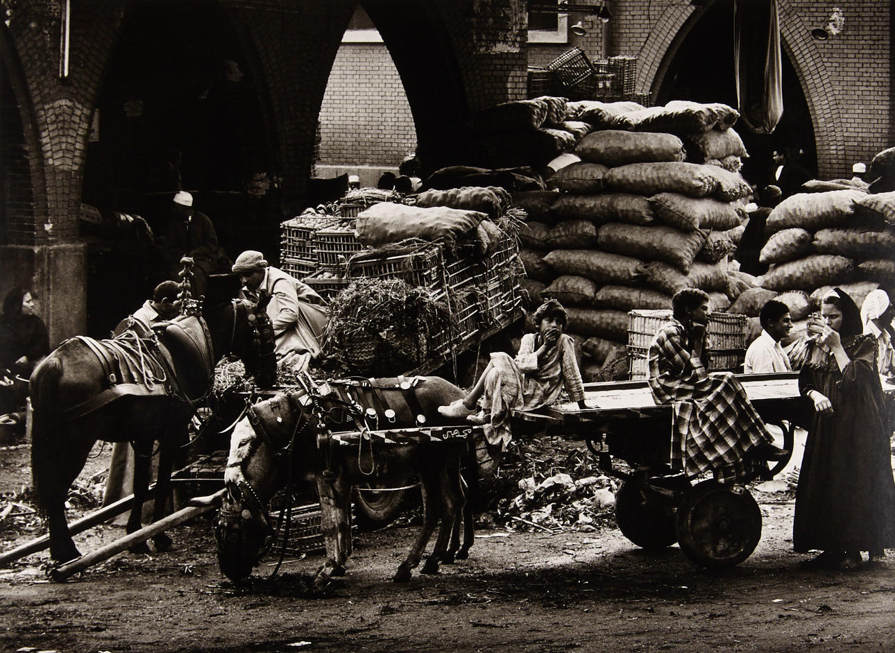 MAX YAVNO (1921–1985) Cairo, Egypt 1979