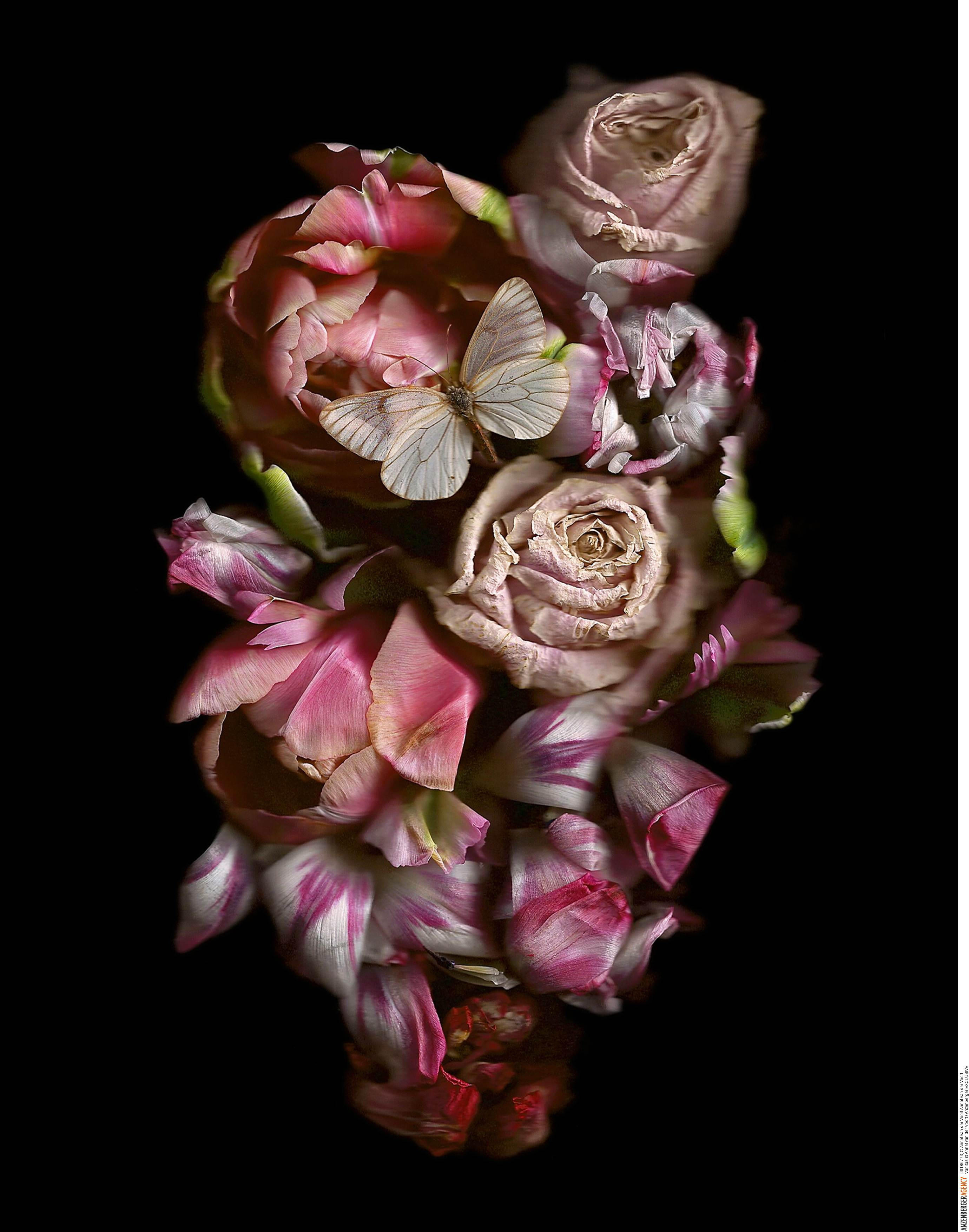 ANNET VAN DER VOORT (*1950) Vanitas, 2008/2009 ANNET VAN DER VOORT (*1950) Vanitas, 2008/2009