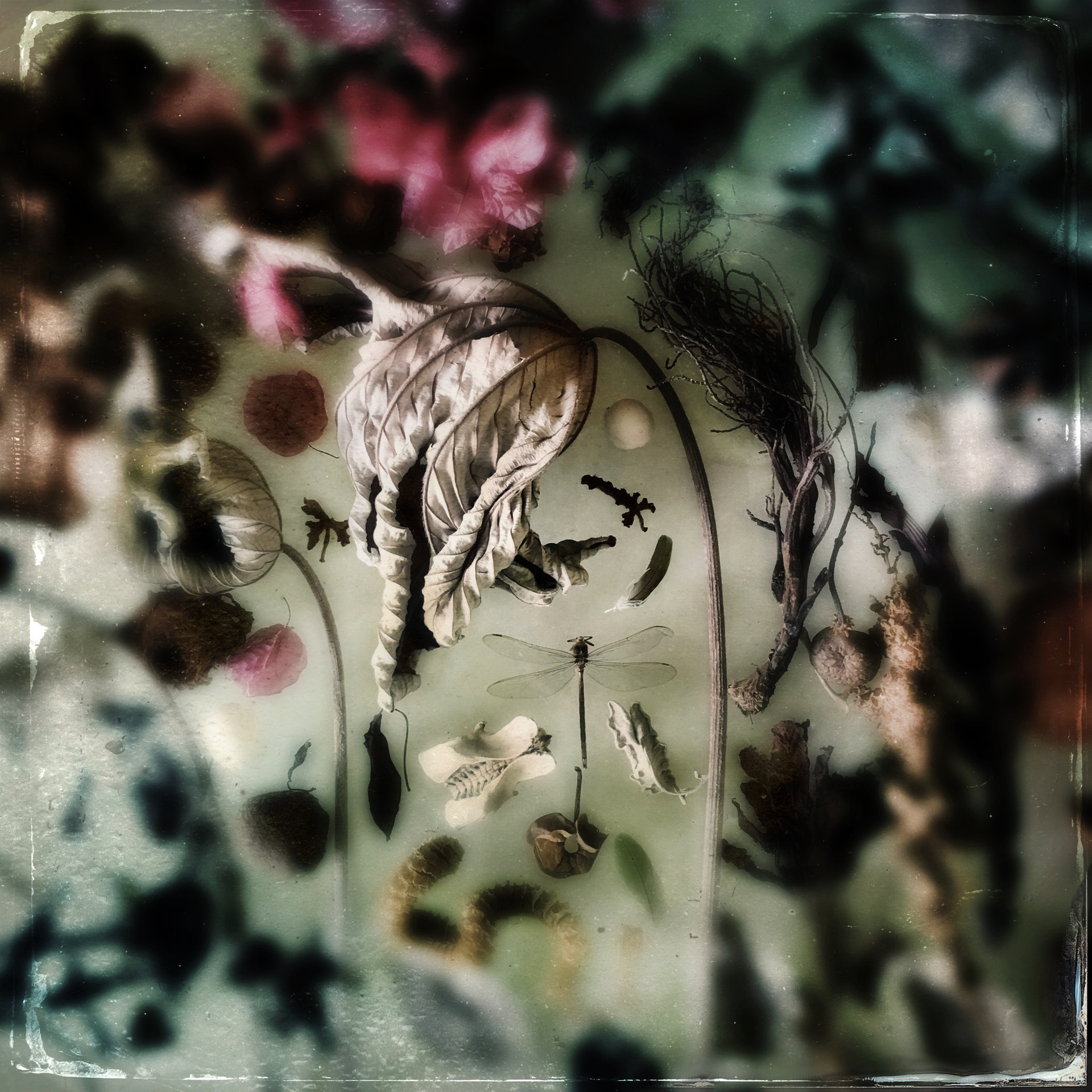 MAGGIE STEBER (* 1949) Flora from the Garden, Miami 2019 MAGGIE STEBER (* 1949) Flora from the Garden, Miami 2019