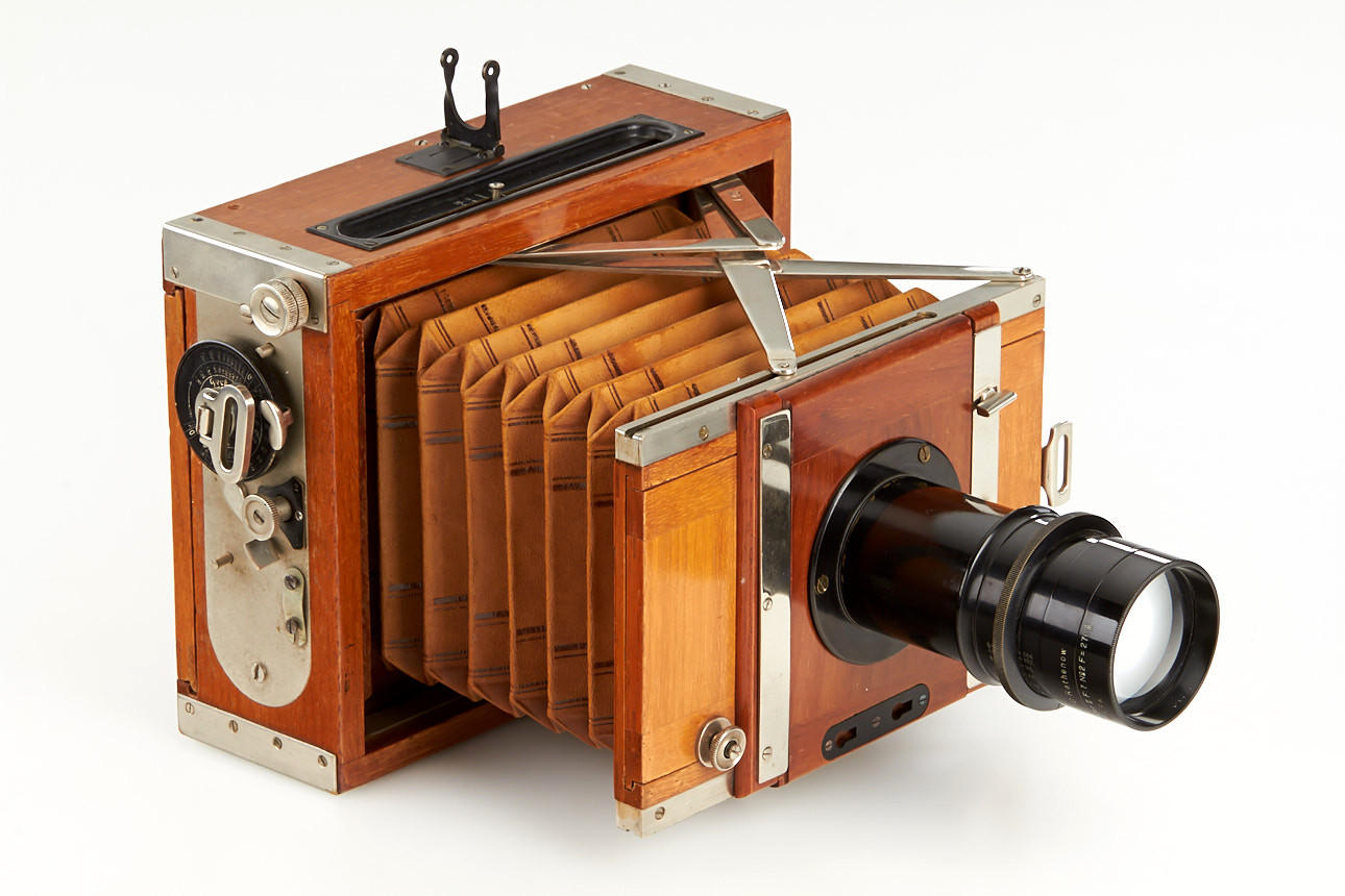 Nettel Tropical Deckrullo Nettel