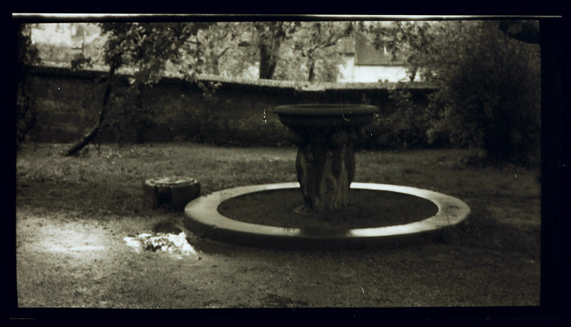 Josef Sudek (1896–1976), From ›A note on Prague gardens‹