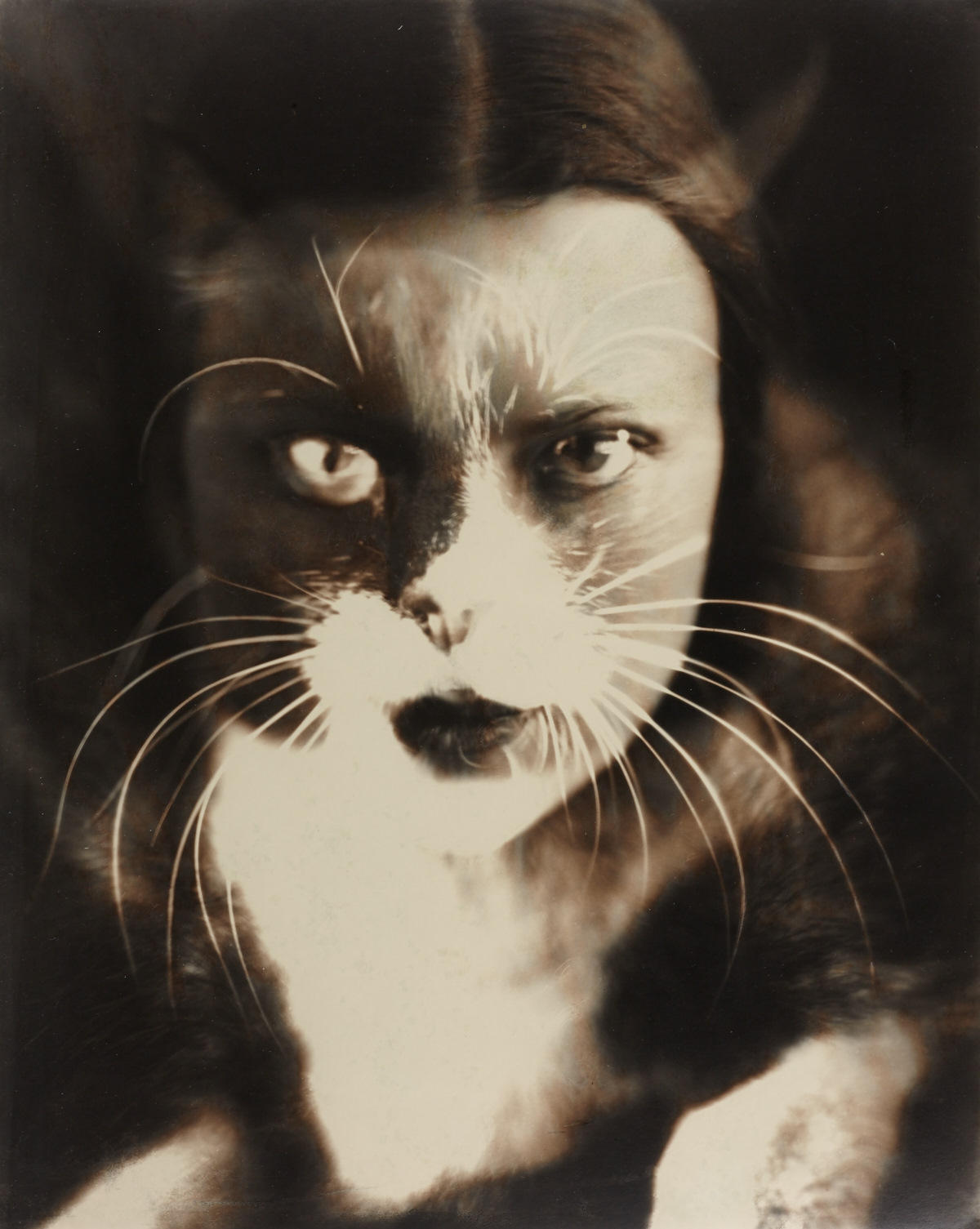 WANDA WULZ (1903–1984) ‘Io + Gatto’ (Selbstporträt / Self-portrait), 1932