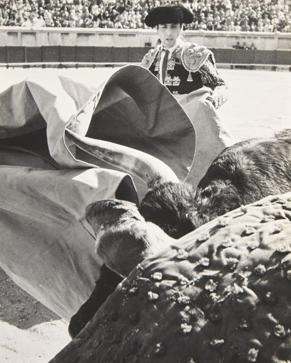 LUCIEN CLERGUE (1934–2014) Toros Muertos, 1960s LUCIEN CLERGUE (1934–2014) Toros Muertos, 1960s