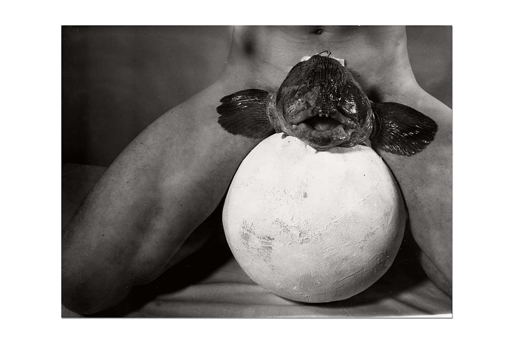 Rudolf Schwarzkogler (1940-1969) / Ludwig Hoffenreich, 2. Aktion, No. 42