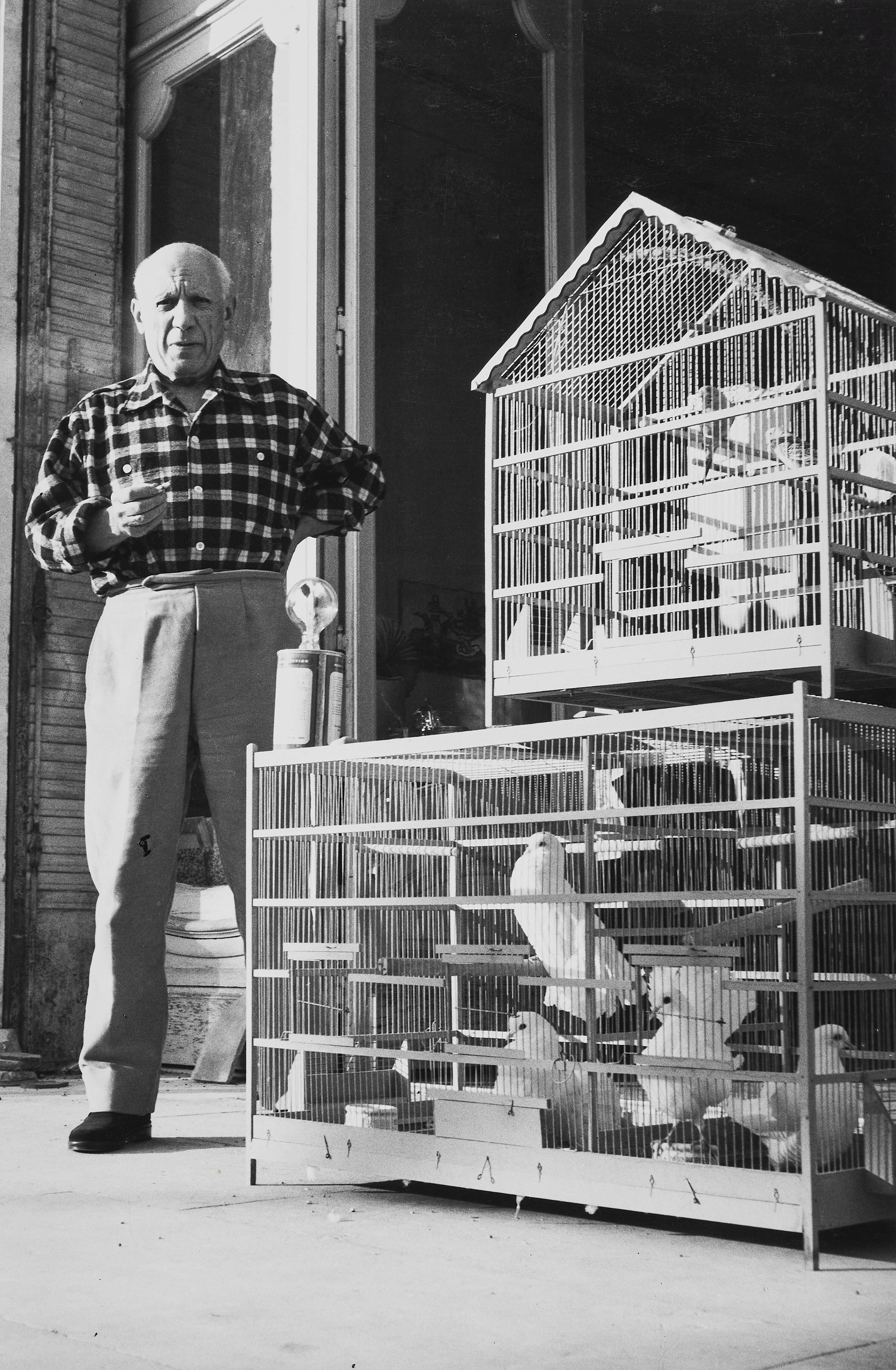 LUCIEN CLERGUE (1934–2014) - Pablo Picasso with doves, Cannes 1954