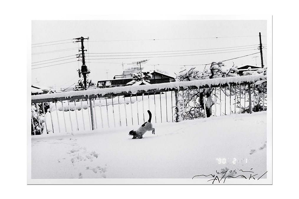 Nobuyoshi Araki (*1940), "Chiro in the snow"