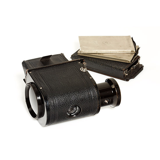 Contessa  Nettel Ergo