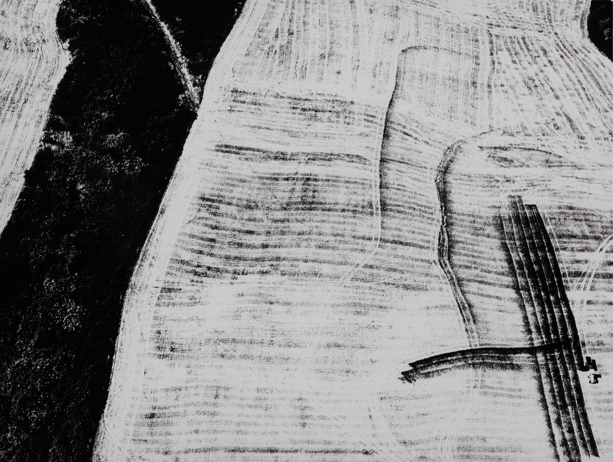 MARIO GIACOMELLI (1925–2000) ‘Presa di coscienza sulla natura (On being aware of nature)’, August 1992 MARIO GIACOMELLI (1925–2000) ‘Presa di coscienza sulla natura (On being aware of nature)’, August 1992