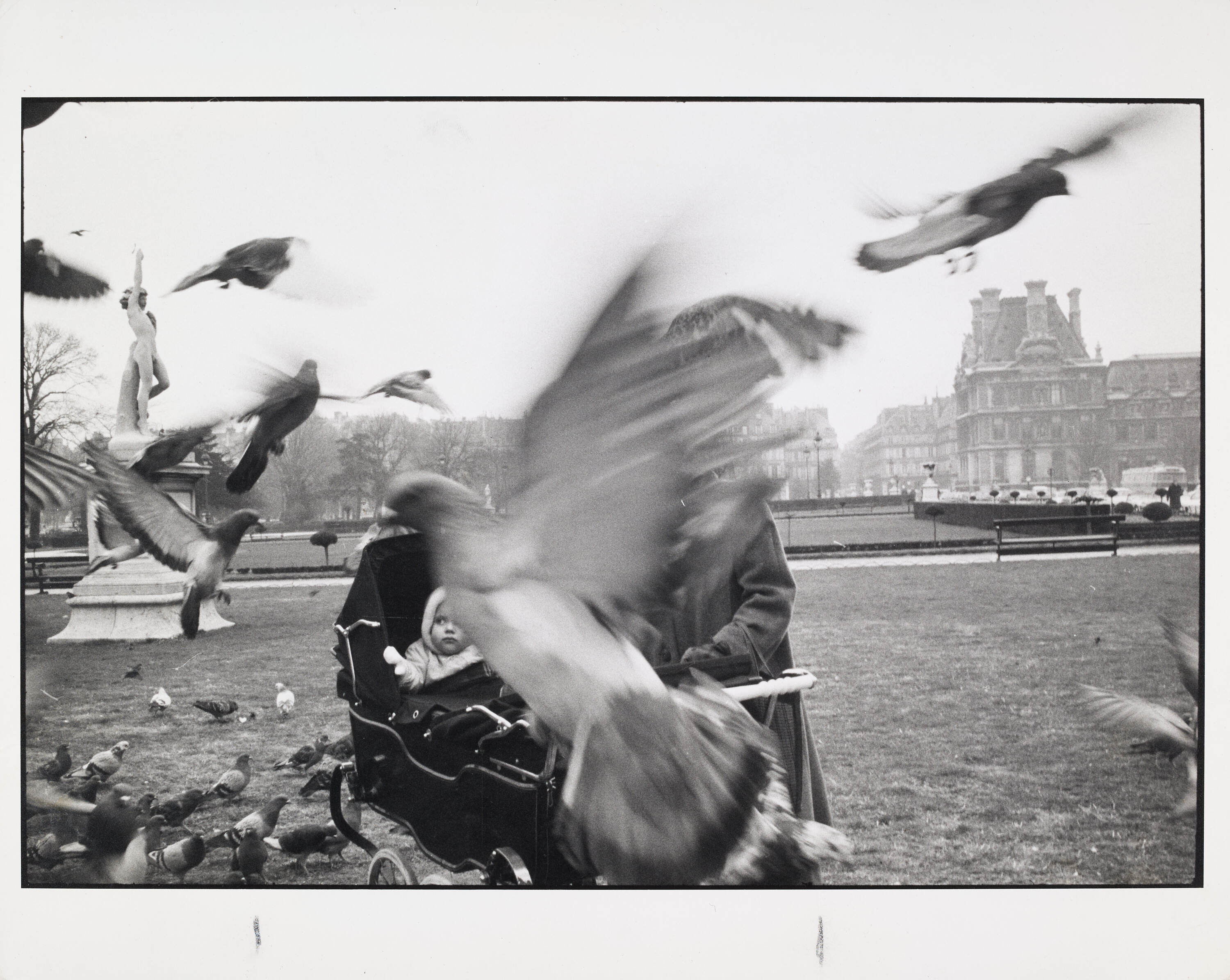 BRUCE DAVIDSON (* 1933) - Pigeons, Paris 1962