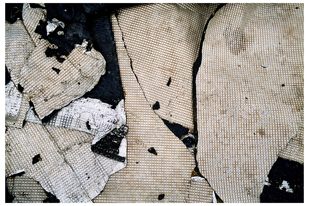 Untitled (from the series "Epithelial Art"), Sandra de Keller (* 1978)