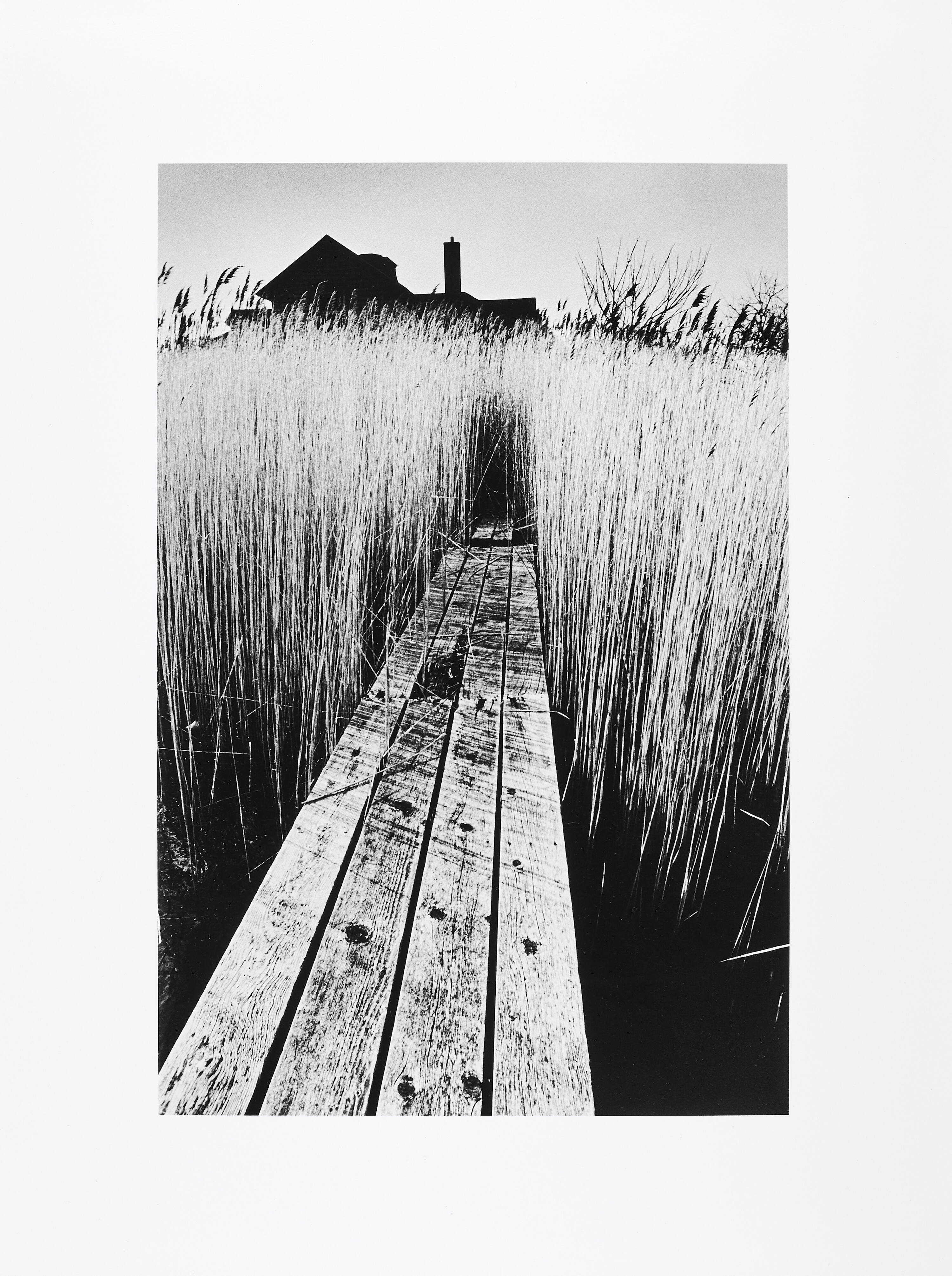 JEANLOUP SIEFF (1933–2000) - The Black House, Easthampton NY 1965