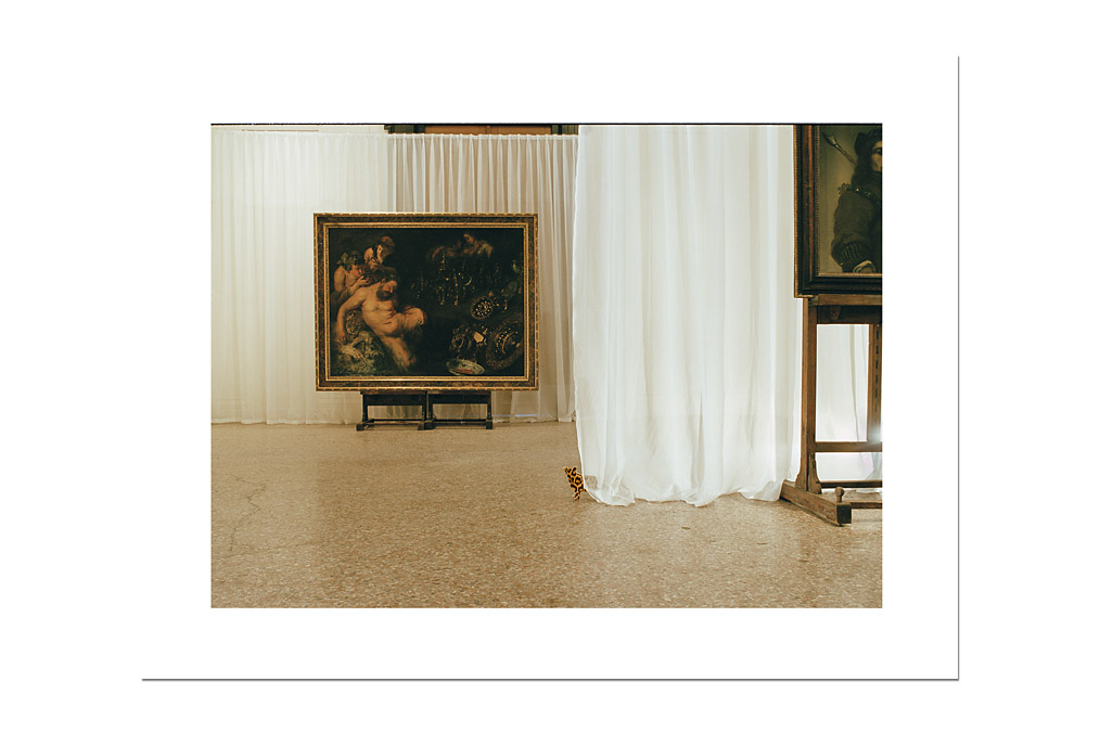 Peter Dressler, "Mit großem Interesse" (Akademie der Bildenden Künste Wien)