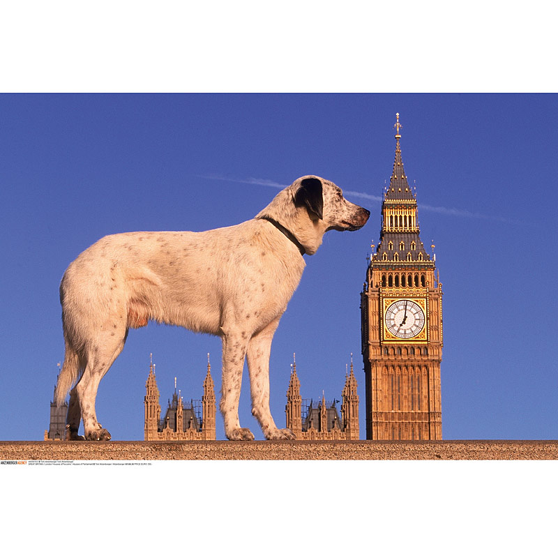 Toni Anzenberger (* 1969), ›House of Pecorino‹