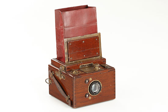 Houghton Ensign  Tropical Reflex