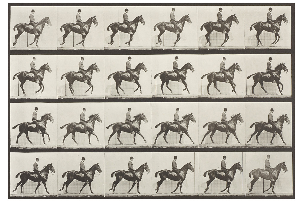 Eadward Muybridge, ›Animal Locomotion‹
