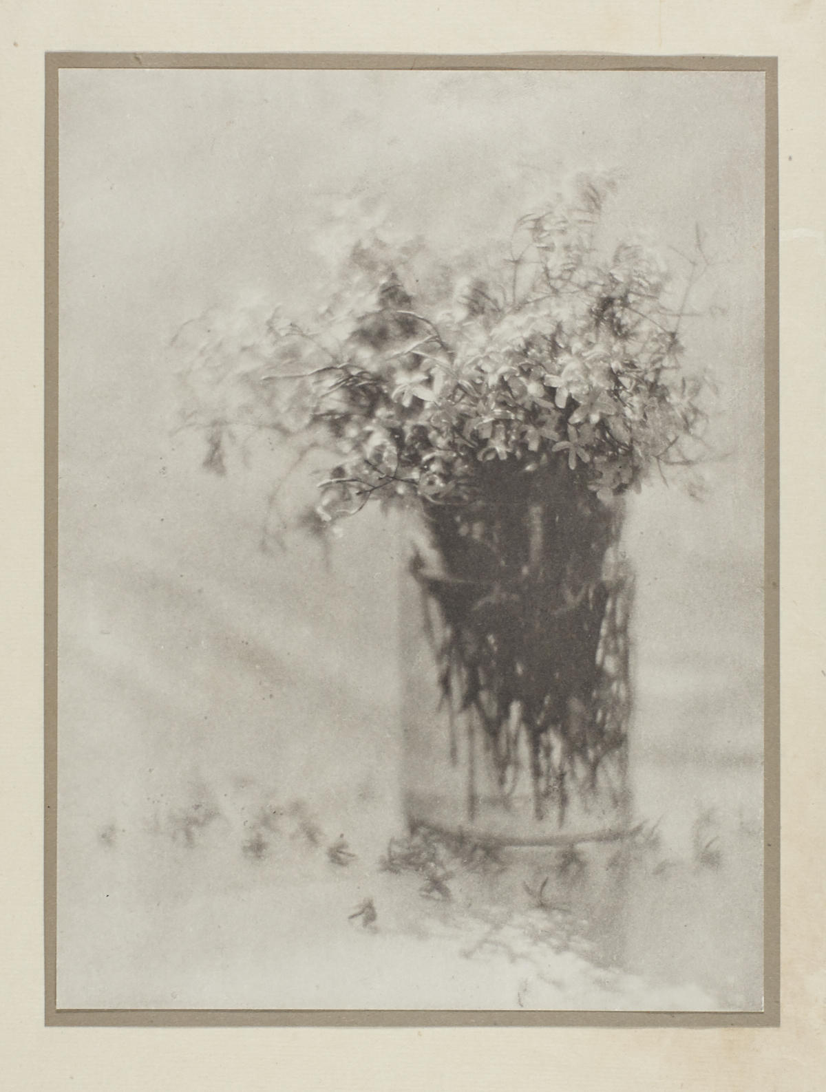 ADOLPH DE MEYER (1868–1946) Still life, 1908