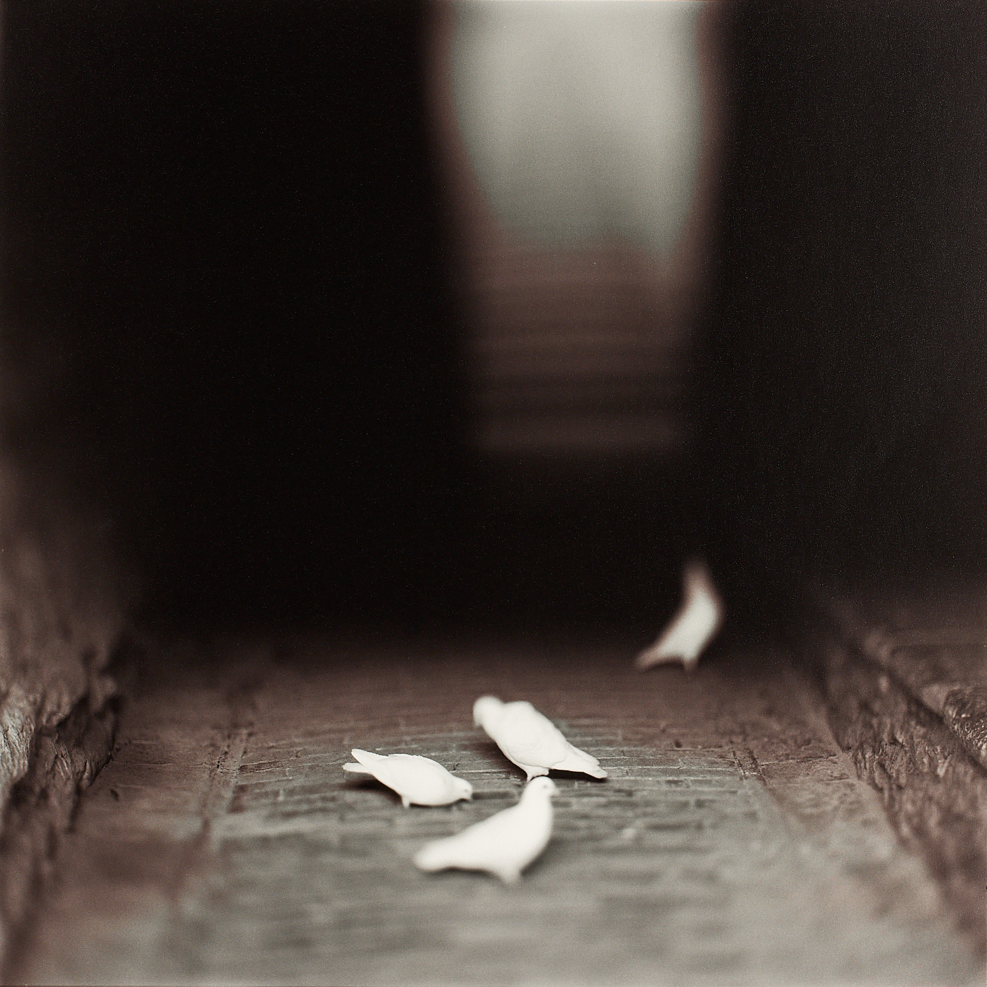 KEITH CARTER (* 1948) - Assisi, 1998