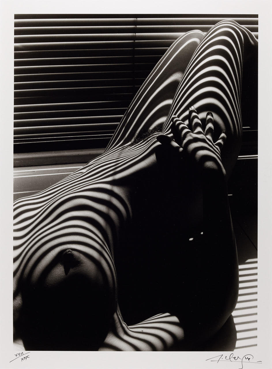 LUCIEN CLERGUE (1934–2014) Nu Zébré, 1998