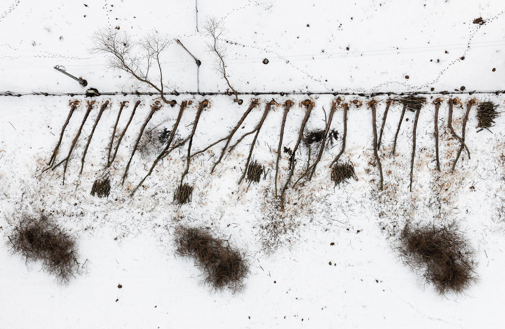 KACPER KOWALSKI (* 1977) Harsh Winter #9, Poland 2010