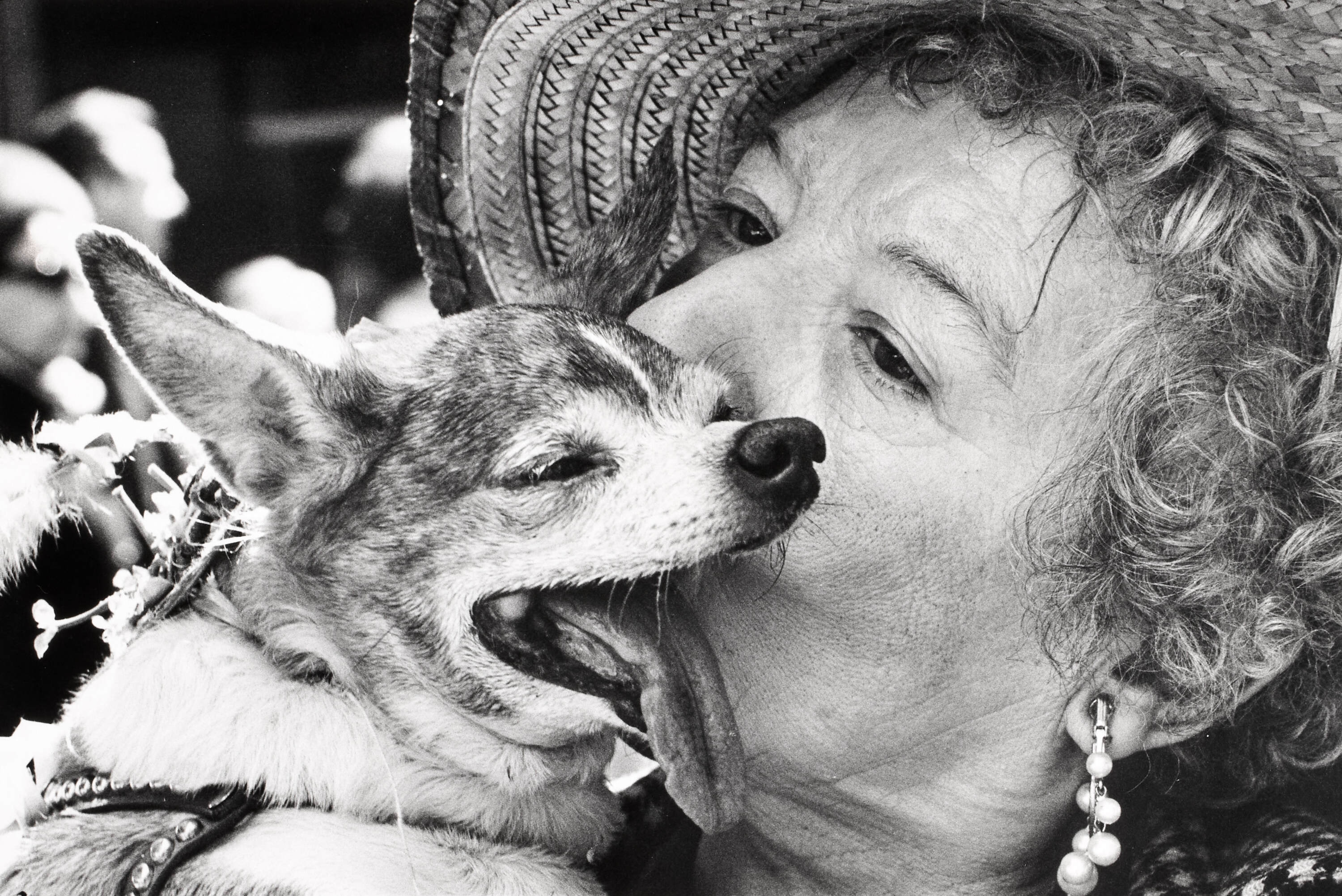 ELLIOTT ERWITT (1928–2023) - New York City, 1968*