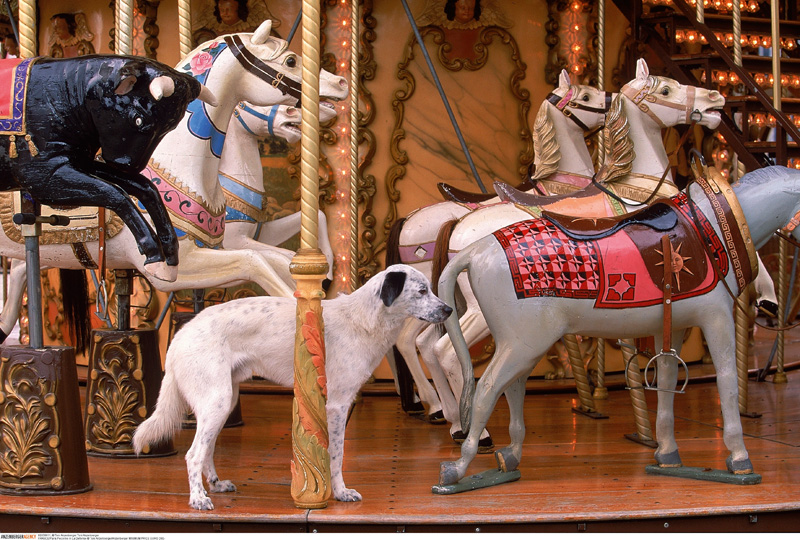 Dreh Pecorino II',  Toni Anzenberger (* 1969)