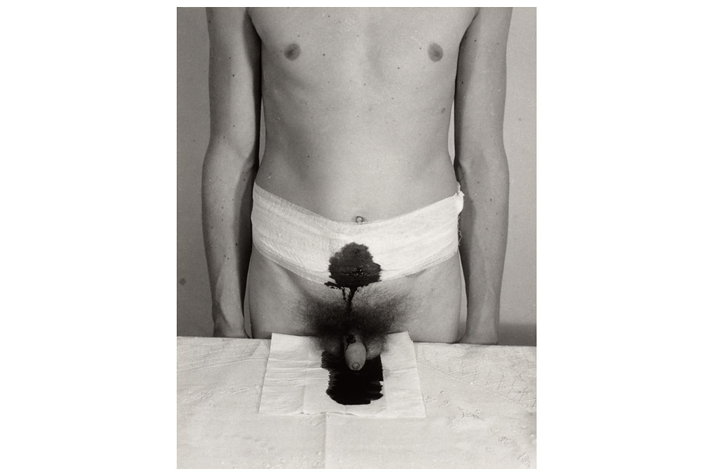 14. Aktion, Hermann Nitsch (* 1938), Franziska Cibulka (* 1943)