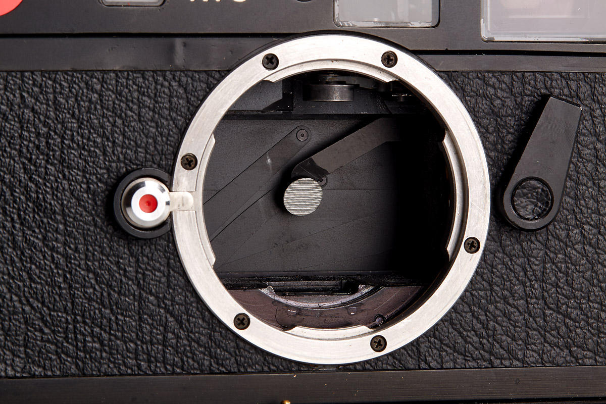 Leica M6 (Electronic) | AI_100 Jahre_30155