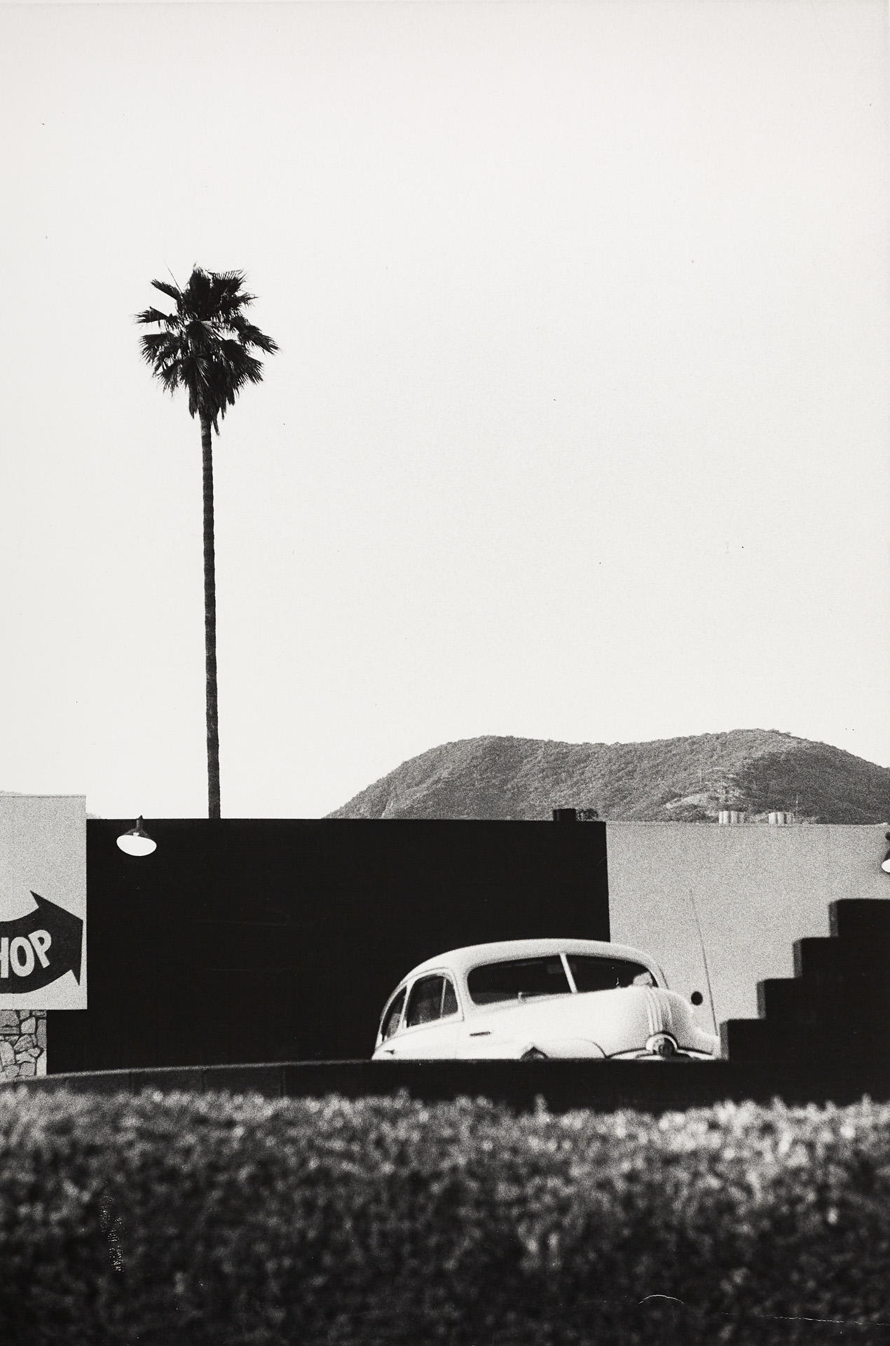 ELLIOTT ERWITT (* 1928) Single Palm, Hollywood, Los Angeles 1956 ELLIOTT ERWITT (* 1928) Single Palm, Hollywood, Los Angeles 1956